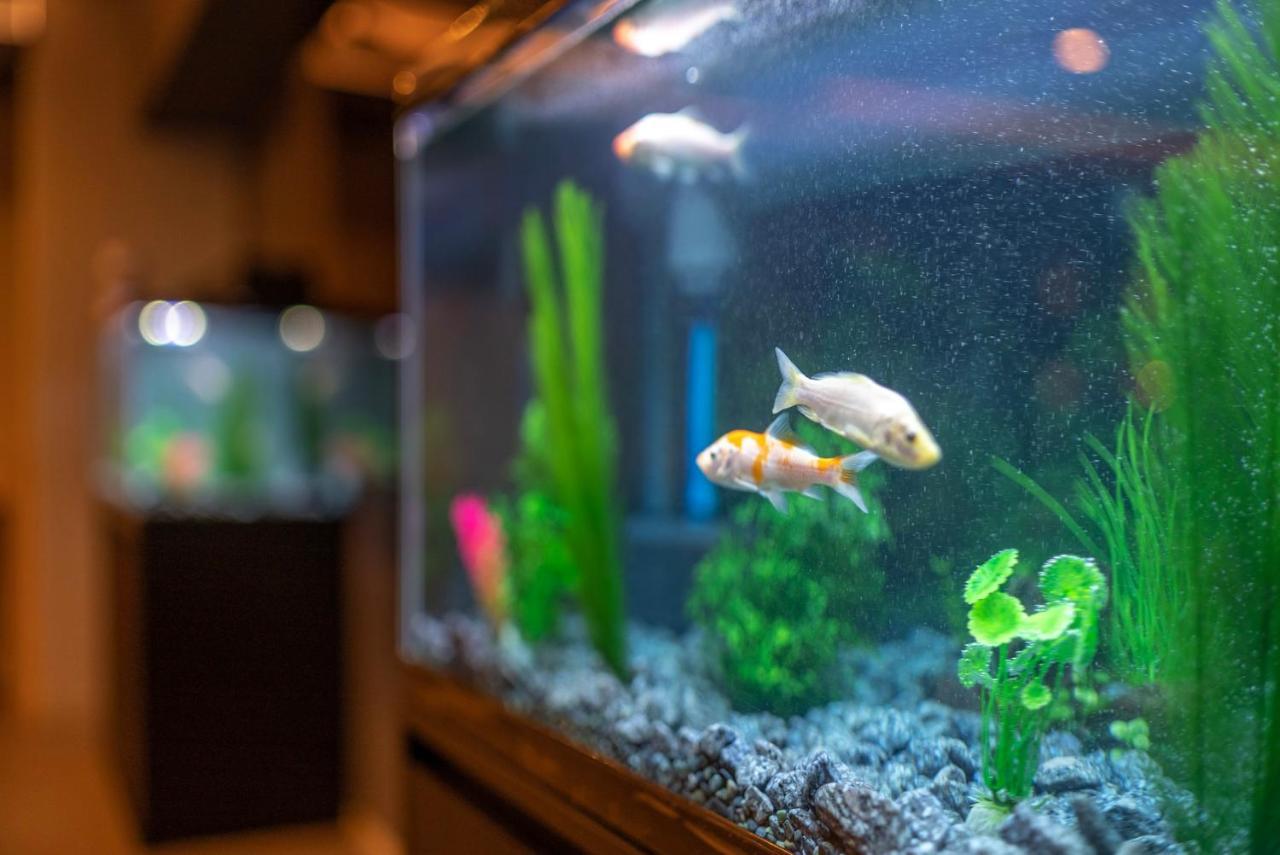Wellstay Shinsekai Wakyo Osaka Zewnętrze zdjęcie